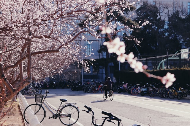 Gereinigt und gepflegt: Was braucht Dein Fahrrad im Frühjahrscheck?