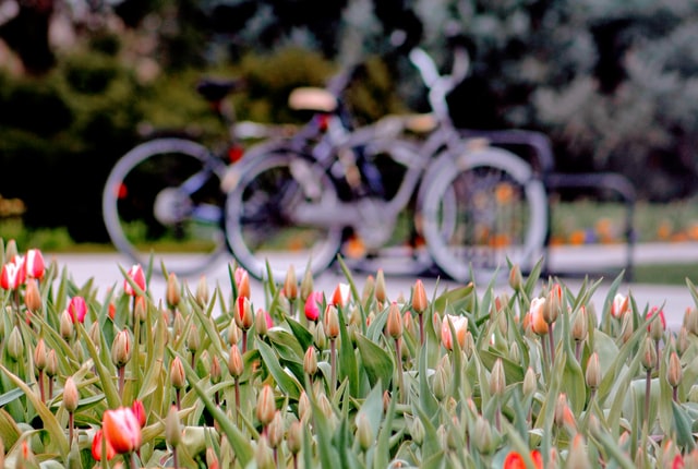 Fahrrad fahren im Frühling: Mit den ersten Sonnenstrahlen wächst die Vorfreude auf Fahrradtouren