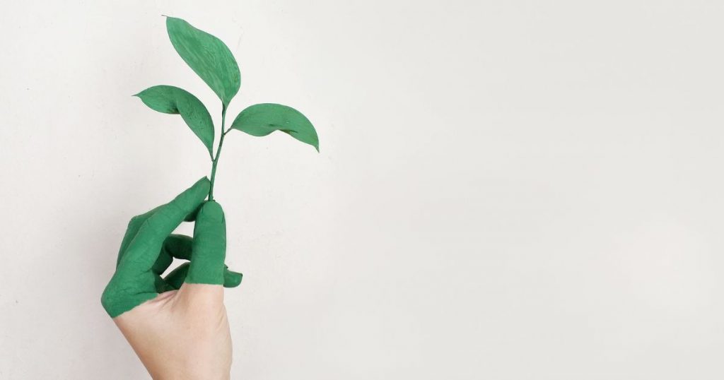 Nachhaltig Investieren: Ist aller Anfang schwer? 